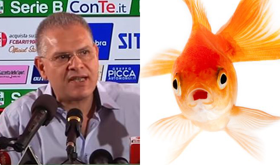 FC Bari, dramma sportivo annunciato: i pesci rossi non saranno mai squali Giancaspro-e-un-pesce-